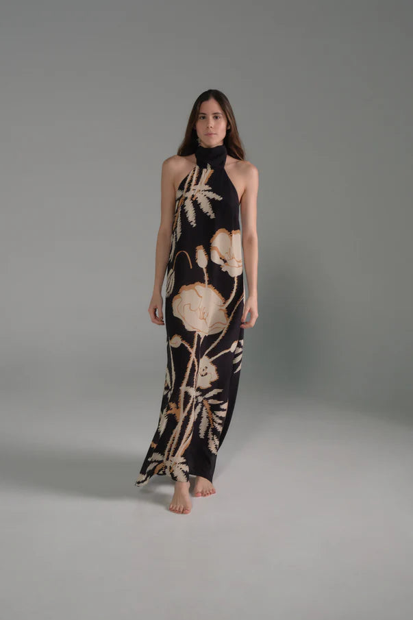 Costa Pacifica Crepe Chine Dress