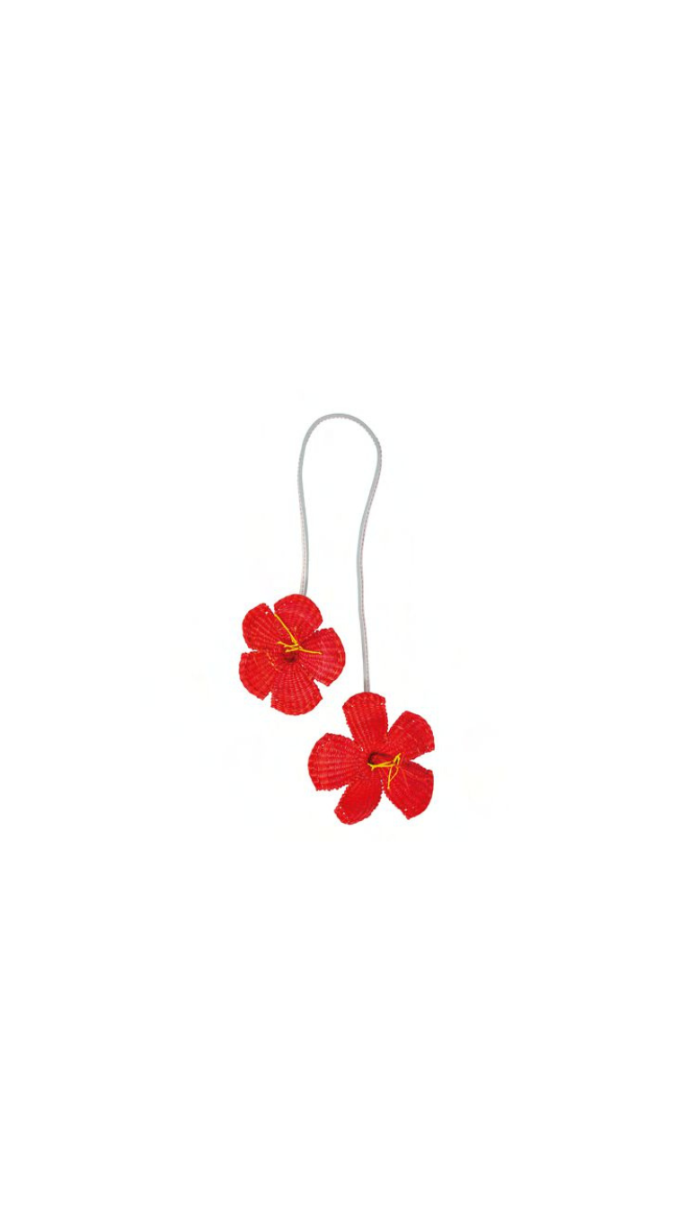 Hibiscus Charm