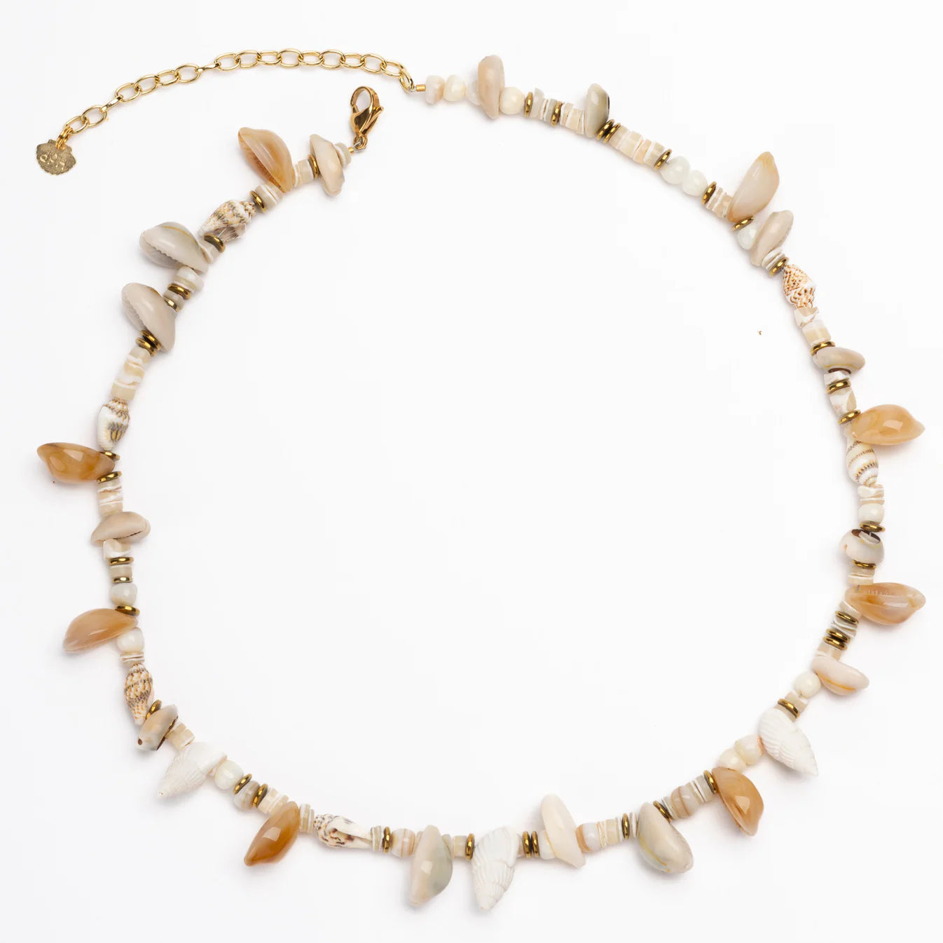Mar Cowries