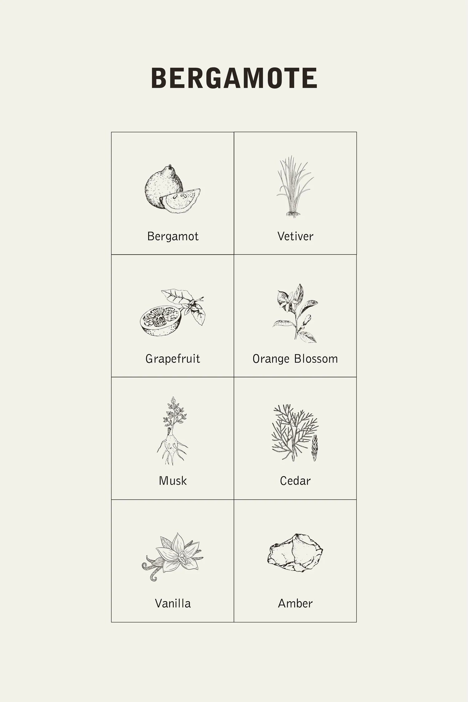 Bergamote Fragance