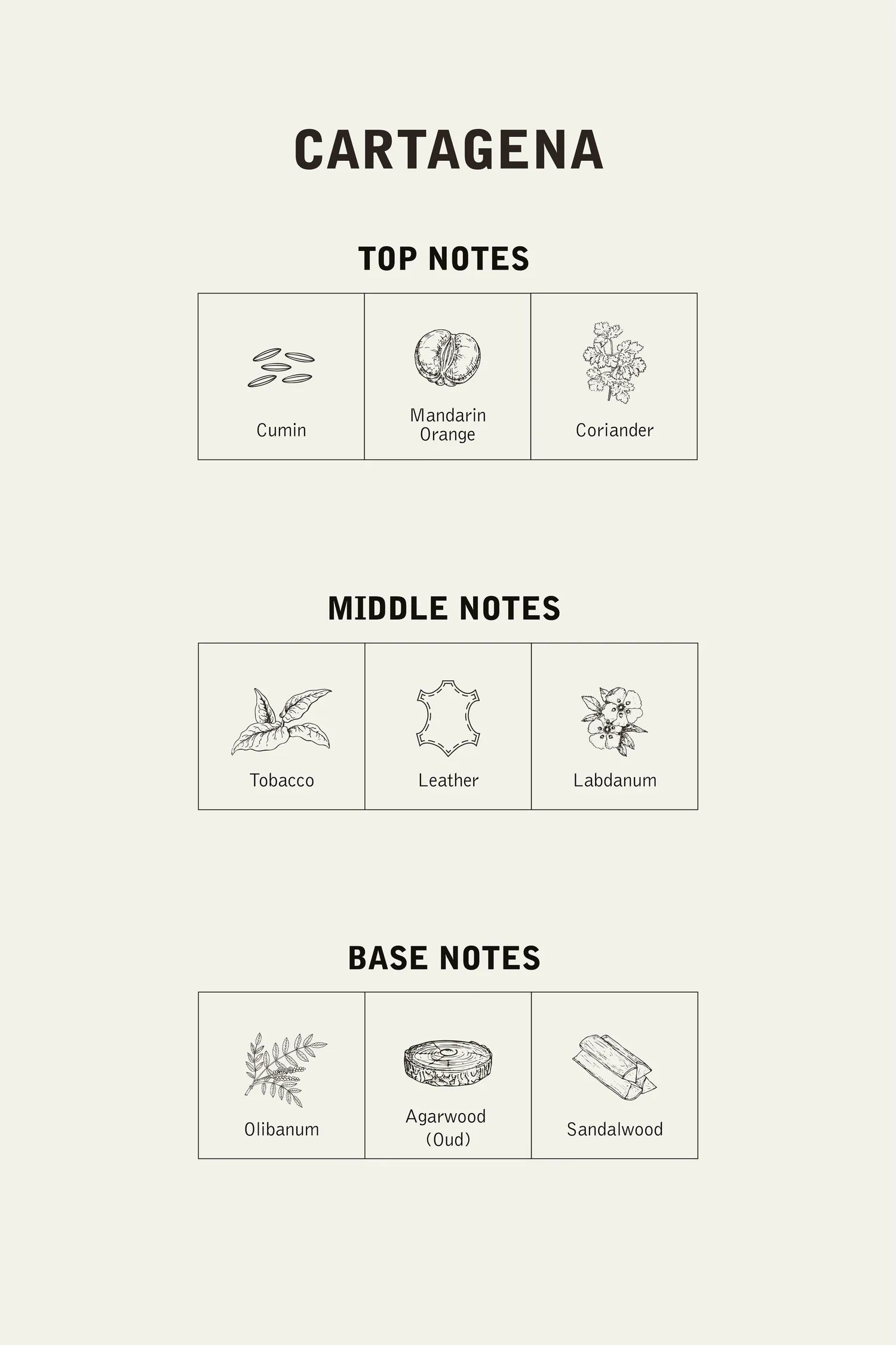Cartagena Fragance