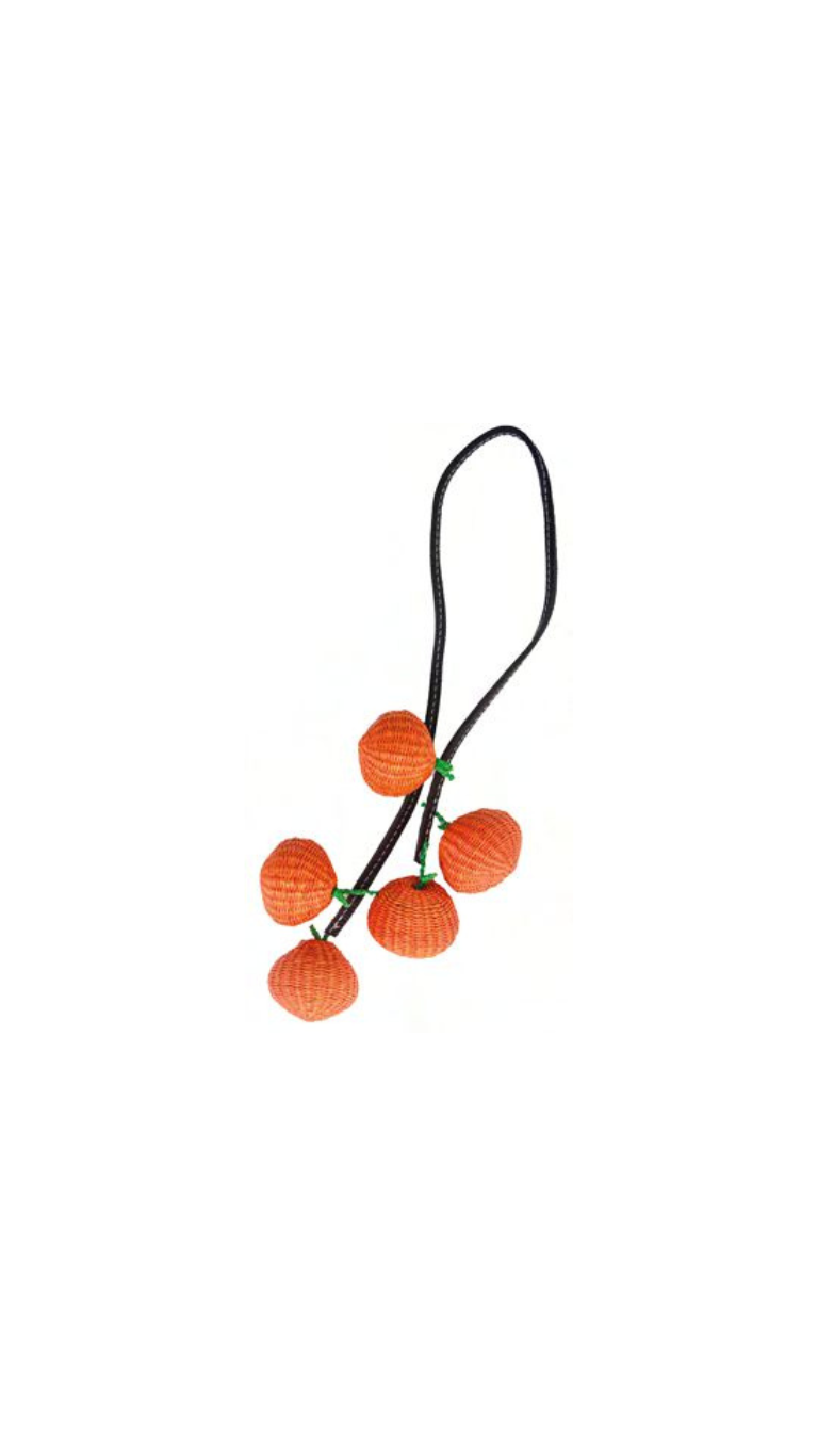 Fruit Charm