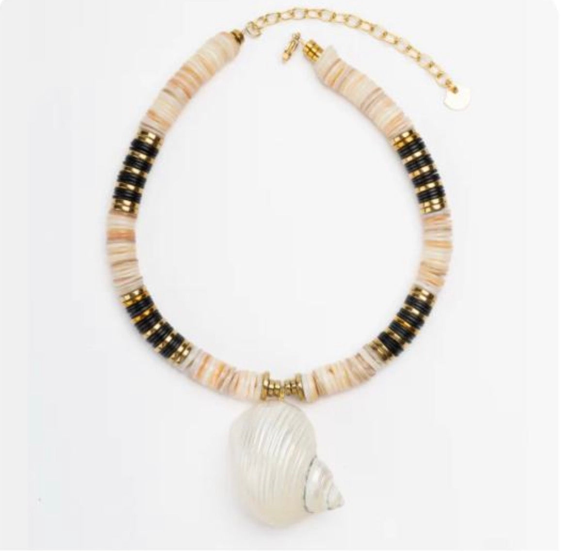 Jaipur Ecru Grey Grandi Shell 10M