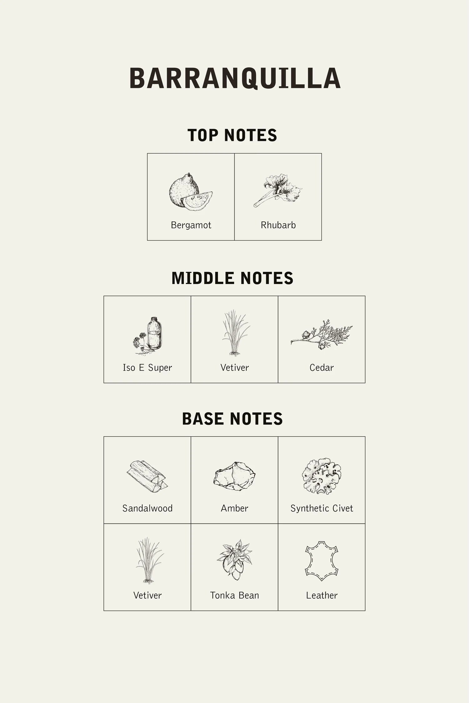 Barranquilla Fragance