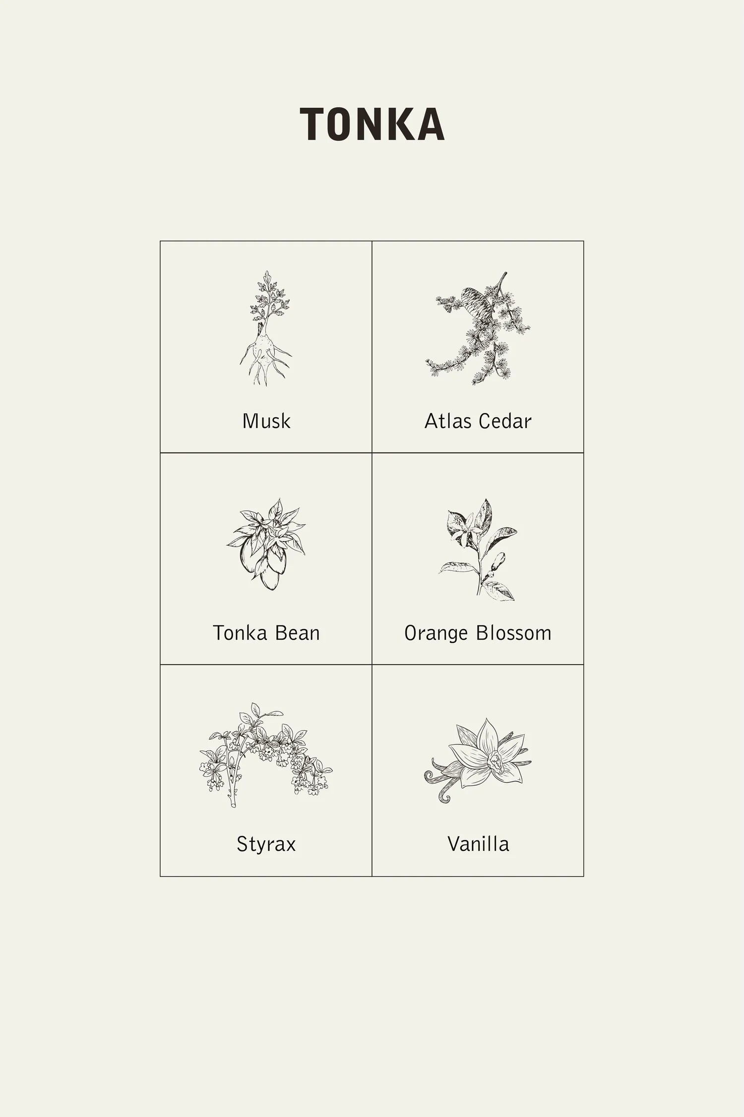 Tonka Fragance