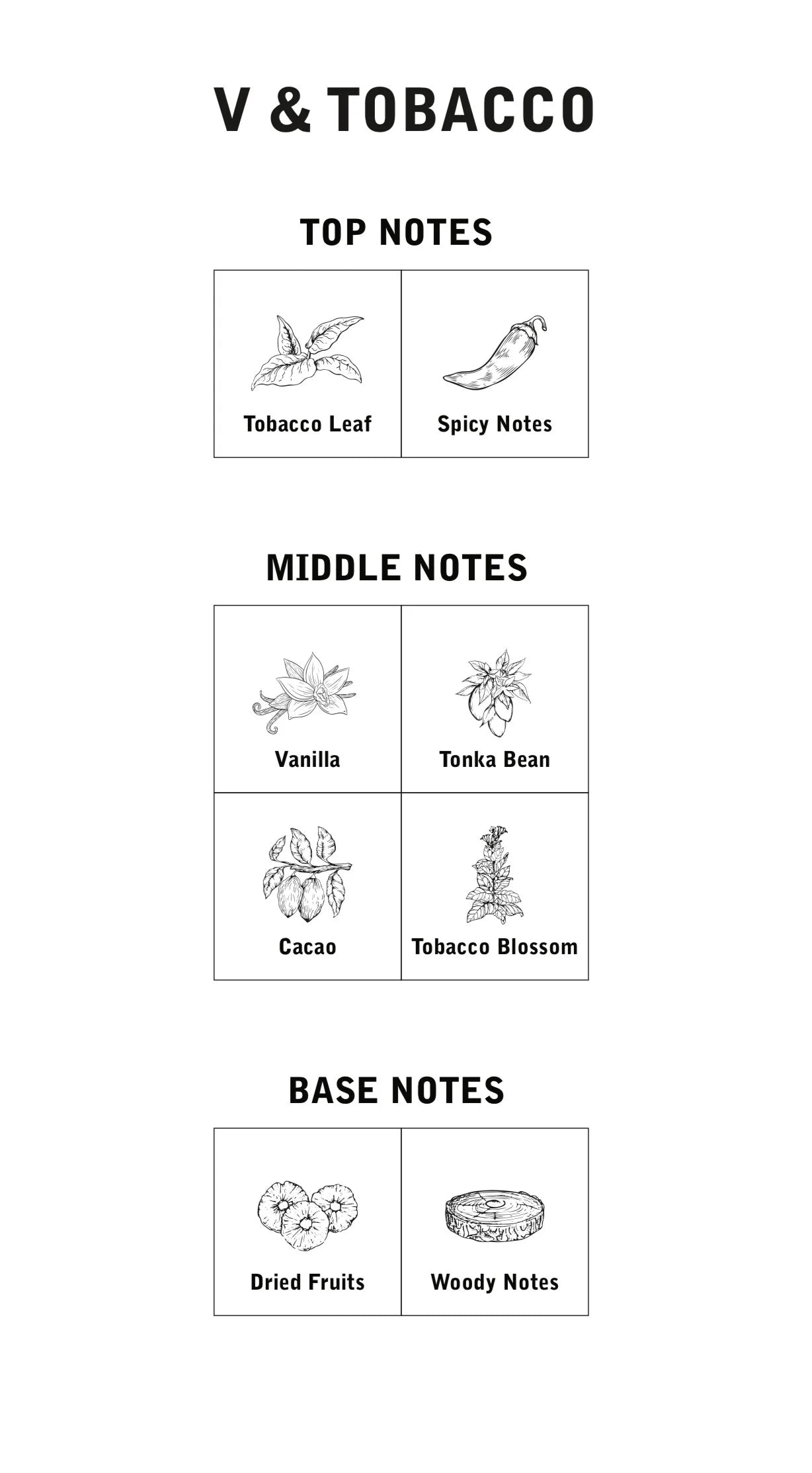 V & Tobacco Fragance